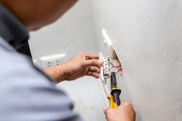 Best Electrical Rewiring Services  in Papillion, NE